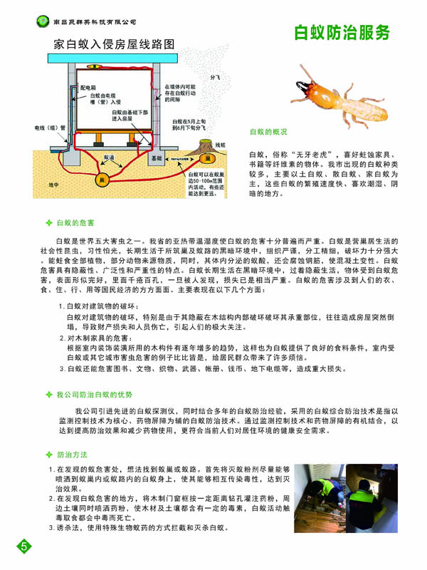 白蚁防治服务.jpg