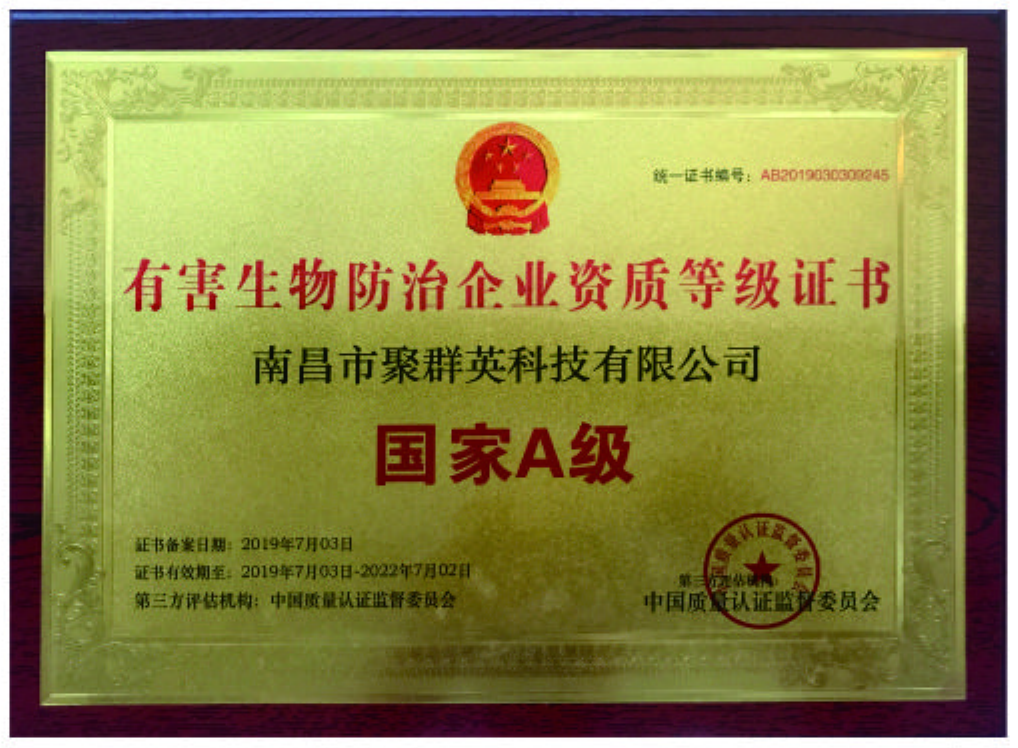 甲家A级证书.png